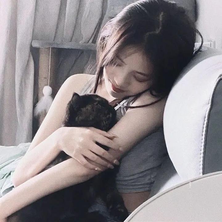 献鱼